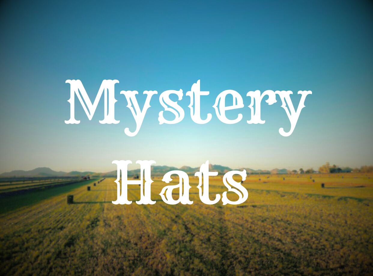 MYSTERY HATS