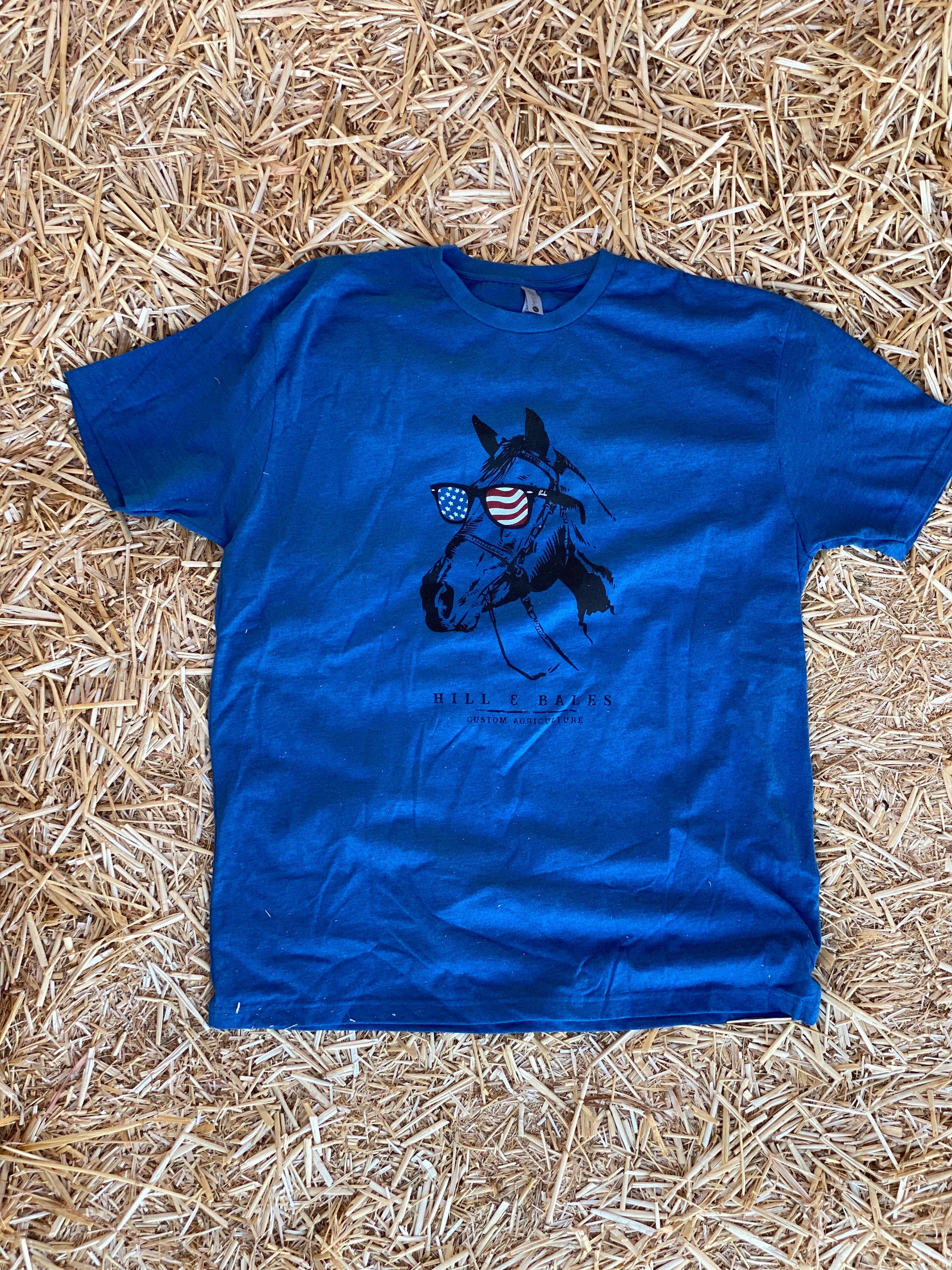 Groovin' American Style Horse w/Sunglasses Tee - Blue