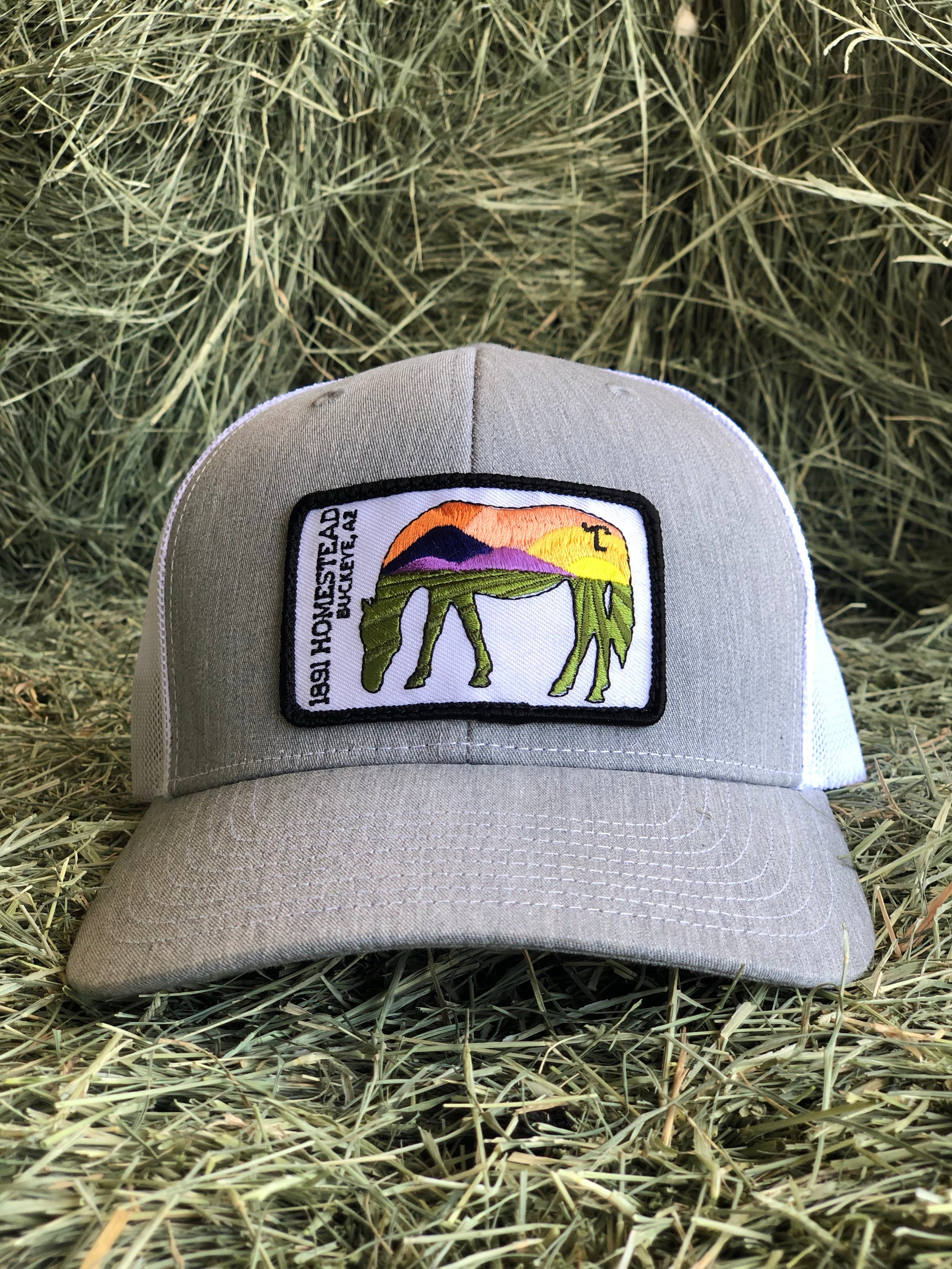 Lazy SL Scenic horse Hat