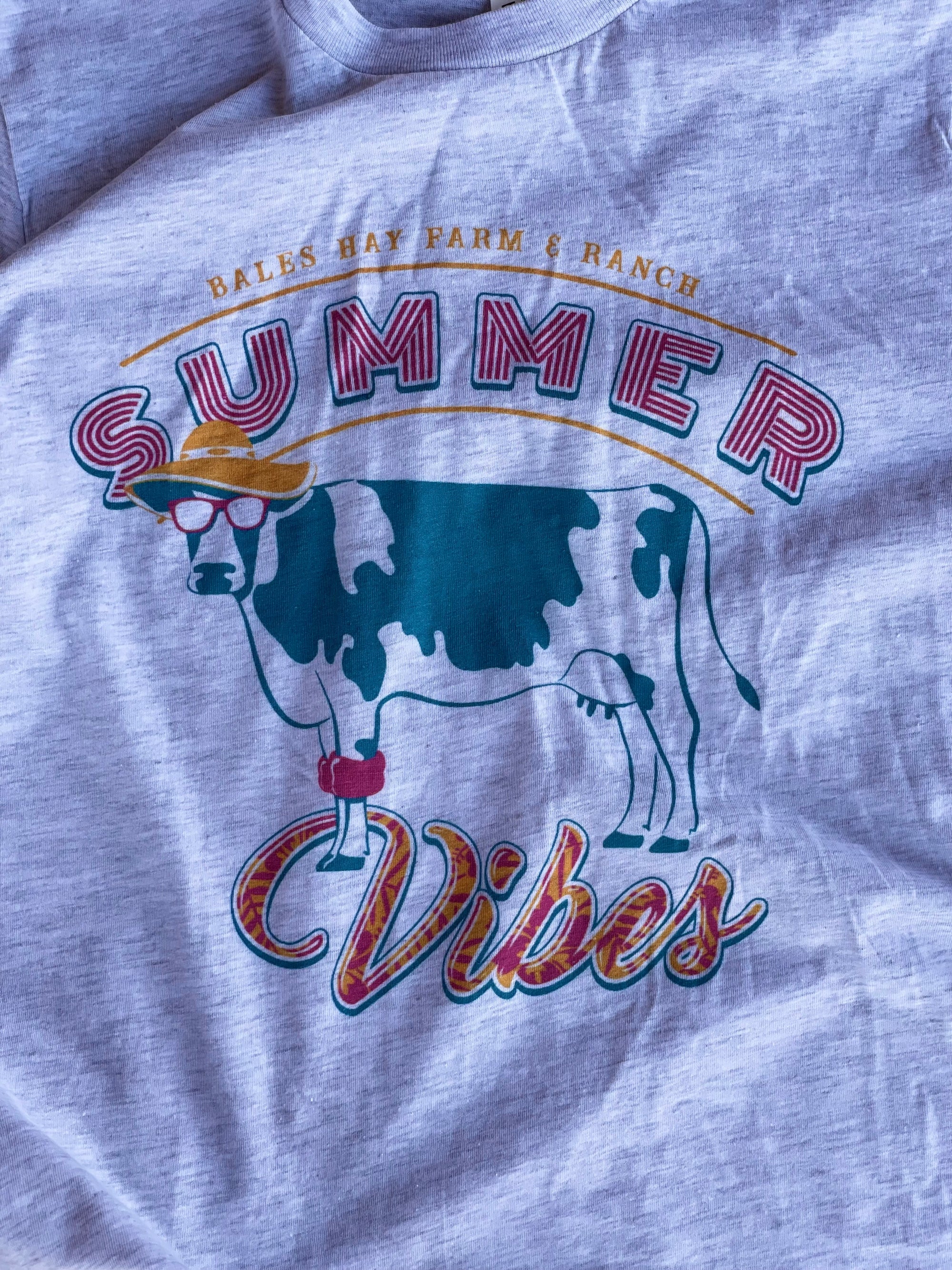 Summer Vibes! Cow wearing floaties.